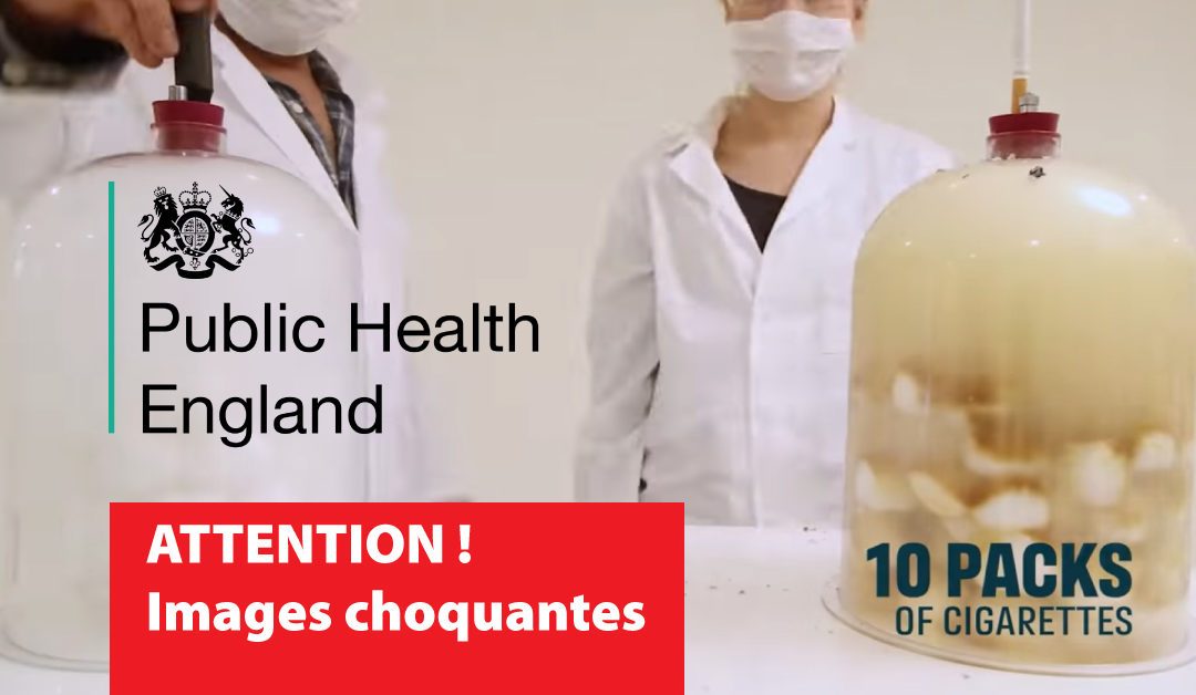elfbar nachfüll pod läuft aus Les Etudes et Références Scientifiques